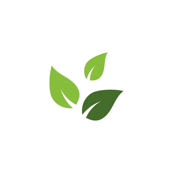 Folha Ecologia Logotipo Modelo Vetor Símbolo Natureza — Vetor de Stock