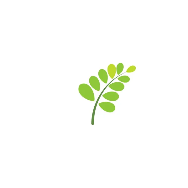 Moringa Leaf Logo Template Vector Symboic — 스톡 벡터
