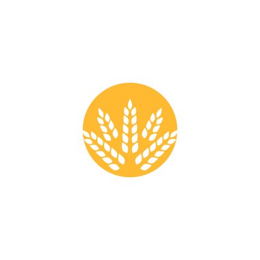Buğday Logosu Şablonu vektör sembolü doğa