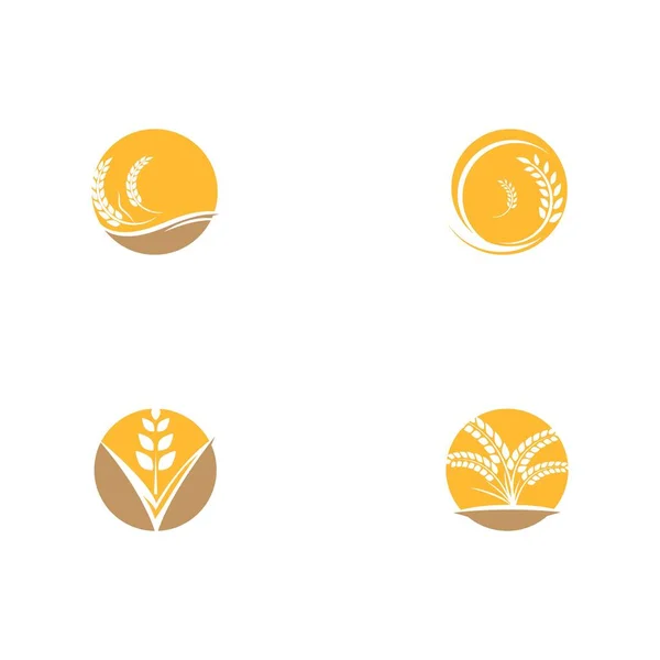 Set Agricultura Trigo Vector Icono Diseño — Archivo Imágenes Vectoriales