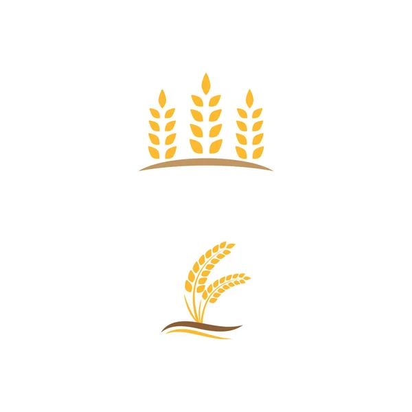 Příroda Vektorového Symbolu Loga Pšenice — Stockový vektor
