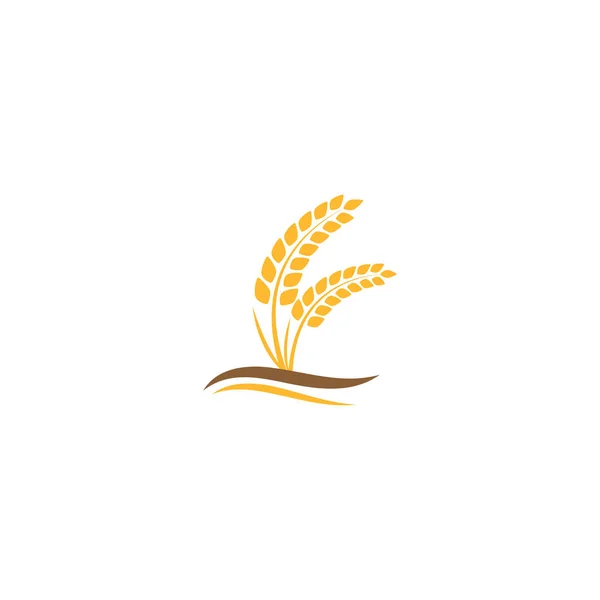Grano Logo Modello Vettore Simbolo Natura — Vettoriale Stock