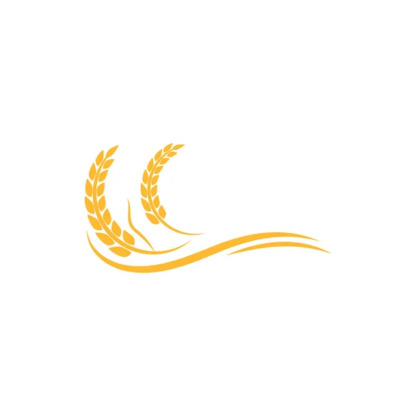 Weizen Logo Template Vektor Symbol Natur — Stockvektor