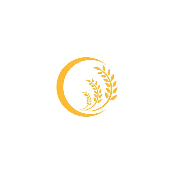 Tarwe Logo Template Vector Symbool Natuur — Stockvector