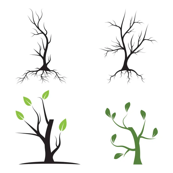 Clipartów Drzewo Ilustracja Jesień Lato Las Natura Wektor — Wektor stockowy