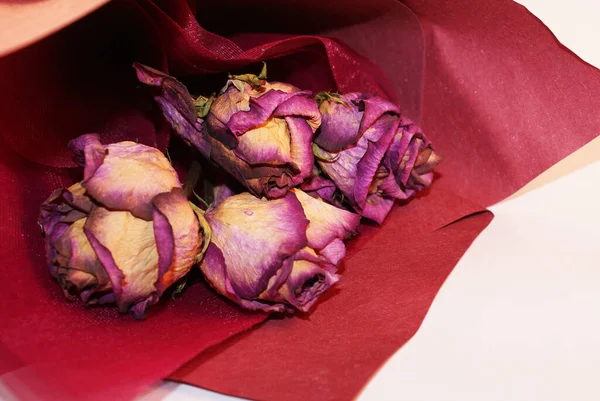 Rosas Secas Belo Buquê Árvore Com Rosas Herbário — Fotografia de Stock