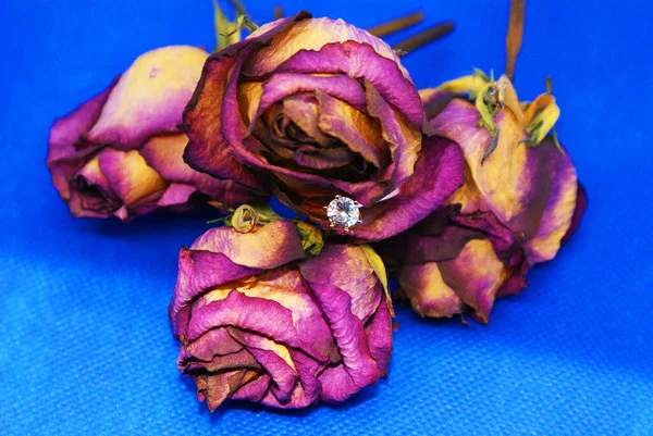 Anello Con Diamante Rose Sfondo Blu — Foto Stock