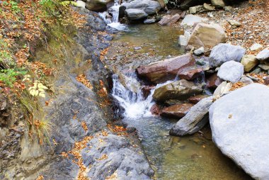 Dağlarda şelale, kozalaklı orman, vahşi yaşam.