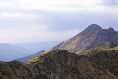 Kozalaklı orman ve dağlar, vahşi yaşam, manzara.