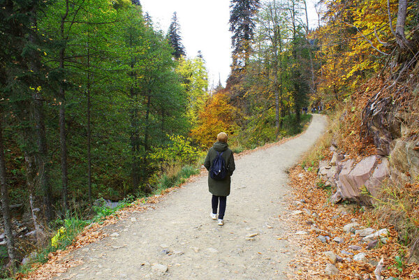 A woman walks in the park, coniferous forest, rocks, greenery.