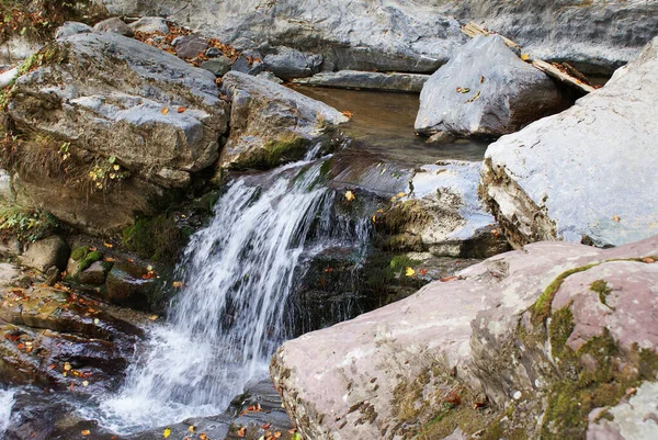 Водоспад Горах Хвойні Ліси Дика Природа — стокове фото