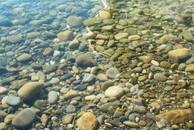 Güneş suda parlıyor, deniz tabanında çakıl taşları, doğa..