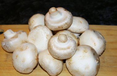 Porcini mantarları yemek ve yemek için..