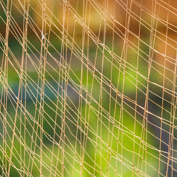 Visserij netto achtergrond — Stockfoto