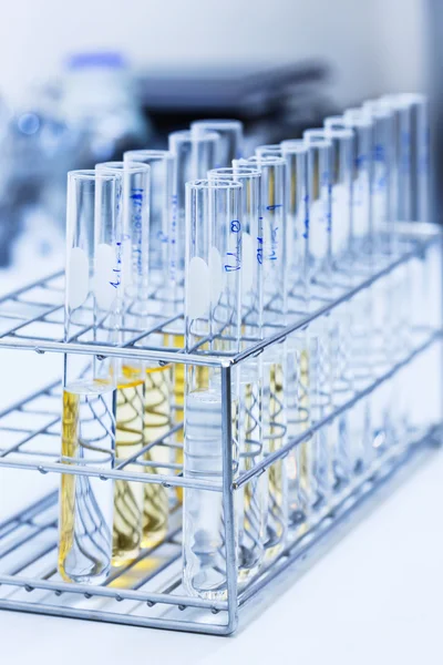 Test tube with solution in rack — Stock Photo, Image