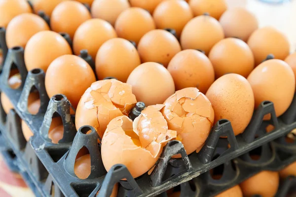 Ovos de galinha rachados — Fotografia de Stock