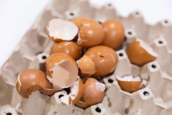 Closeup Heap Chicken Eggshell Fragments Recycle Paper Tray Waste Kitchen — Fotografia de Stock