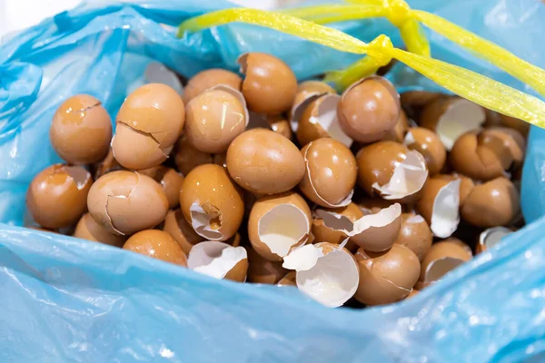 Closeup Heap Chicken Eggshell Fragments Blue Plastic Bag Waste Kitchen — Fotografia de Stock