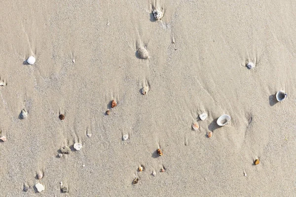 关闭海滩上的沙子 用于假日或度假广告 图库图片