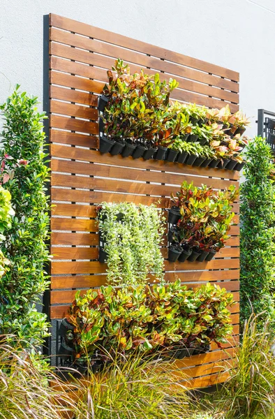 Vertical garden — Stock Photo, Image