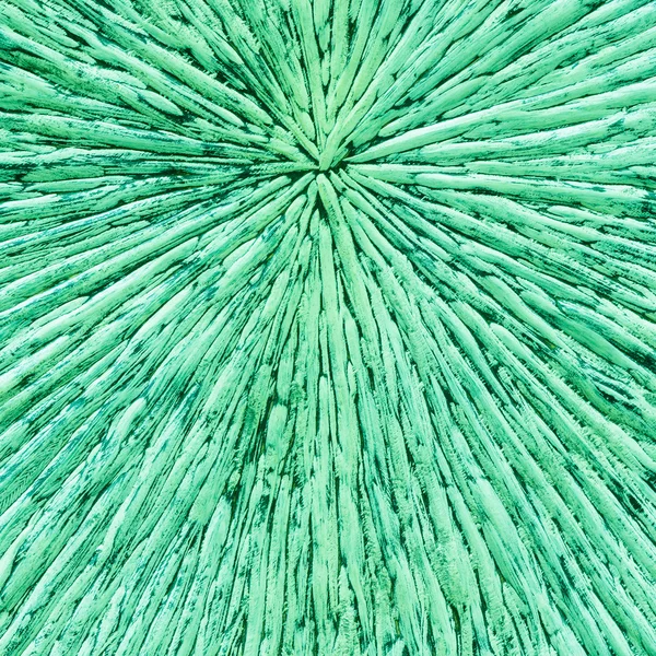 Groene kleur hout gesneden — Stockfoto