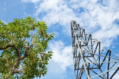 Kazık sürücü ve ağacın