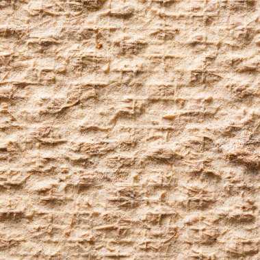 Hindistan cevizi lifi mat geri