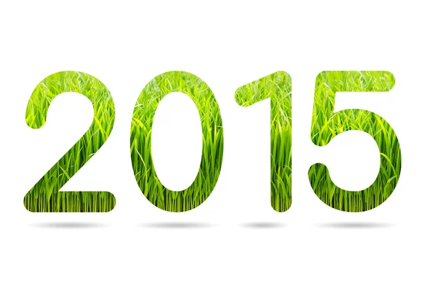 2015 numeric from rice sprouts texture — Stock Photo, Image