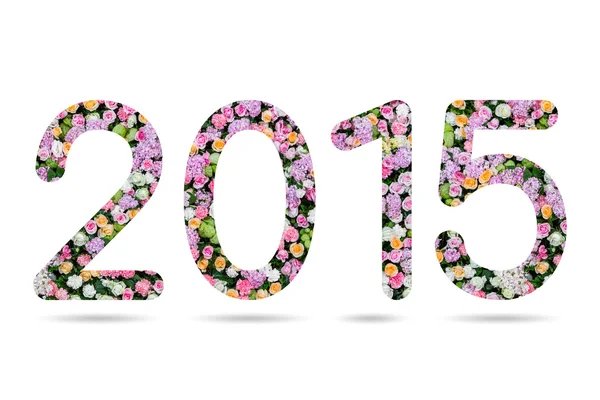 2015 numeric from flower background — Stock Photo, Image