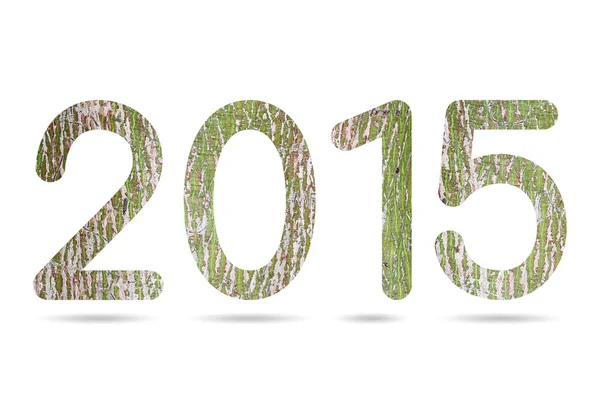 2015 numeric from tree bark — Stock Photo, Image