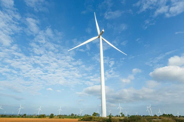 Turbine eoliche — Foto Stock