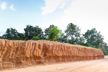 Lateritic toprak kesiti