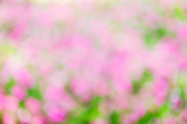 Gerçek doğa bulanık arka plan