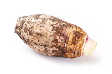 Taro