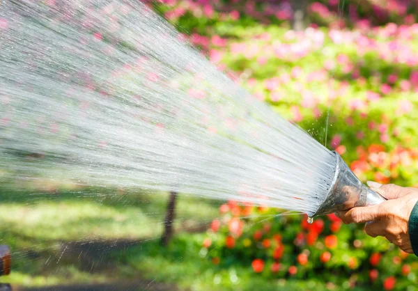 Watering — Stock Photo, Image