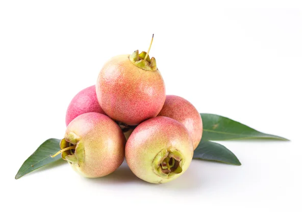 Syzygium jambos pomme rose — Photo