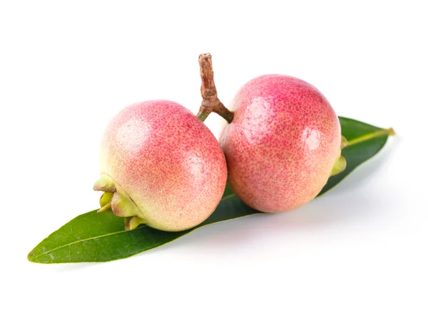 Syzygium jambos rosa maçã — Fotografia de Stock