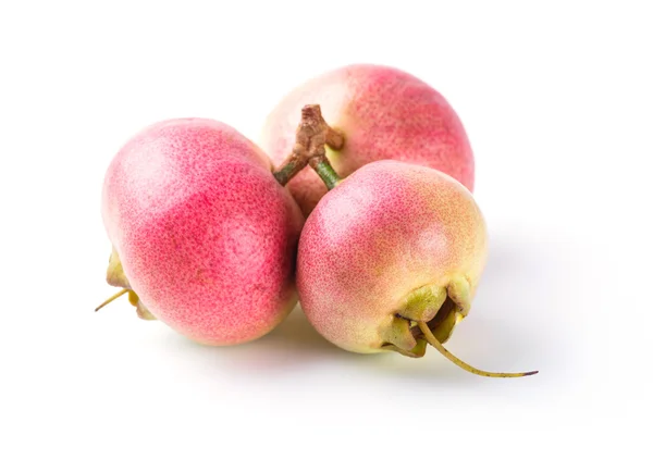 Syzygium jambos rosa maçã — Fotografia de Stock