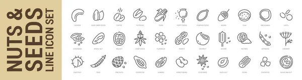 Noten Zaden Bonen Lijn Pictogram Set Schets Geïsoleerde Iconen Vectorillustratie — Stockvector