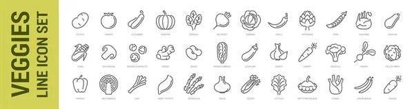 Conjunto Iconos Línea Verduras Verduras Aisladas Vectoriales Colección Ilustración de stock