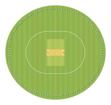 Ağaç kökleri olan kriket sahası. Üst görünüm