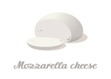 Mozzarella peyniri. Beyaz arka planda gerçekçi bir peynir. Vektör çizimi. Koleksiyon