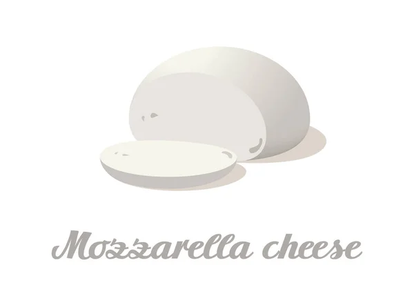 Mozzarella peyniri. Beyaz arka planda gerçekçi bir peynir. Vektör çizimi. Koleksiyon