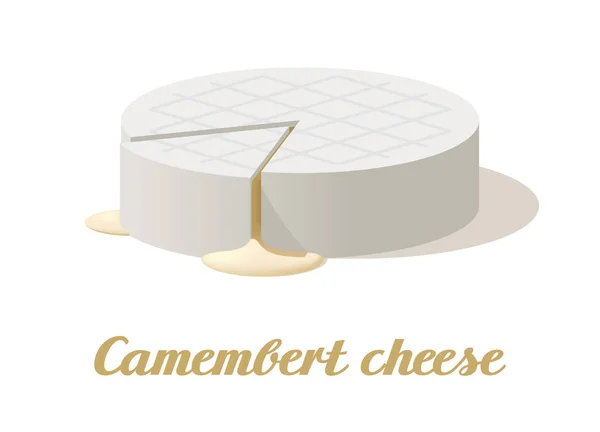 Sýr Camembert Realistický Sýr Bílém Pozadí Vektorová Ilustrace Kolekce — Stockový vektor
