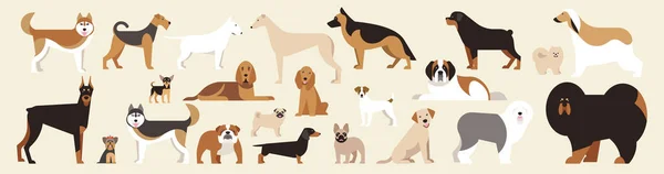 Farklı cins köpekler. Işık arka planında izole edilmiş köpekler. Düz çizgi film. Vektör çizimi. Koleksiyon