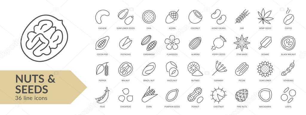 Nuts & seeds line icon set. Isolated signs on white background. Vector illustration