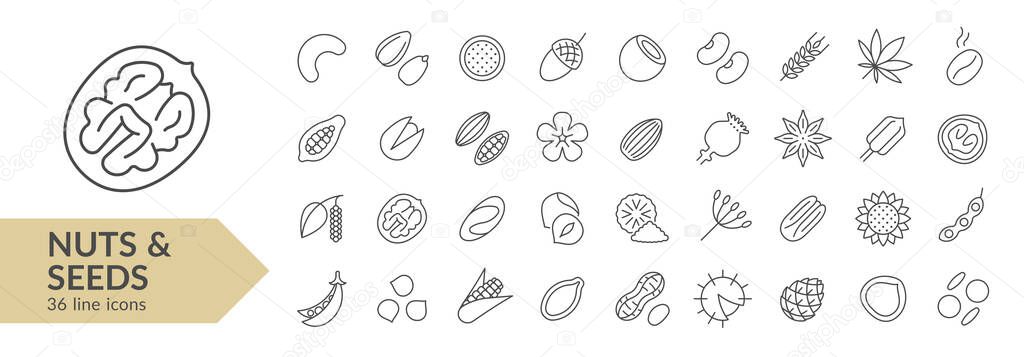 Nuts & seeds line icon set. Isolated signs on white background. Vector illustration