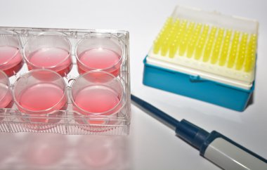 Hücresel teknolojiyi kullanan bilimsel Biyolojik araştırma. 