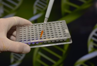 Dna testi laboratuvarda. 