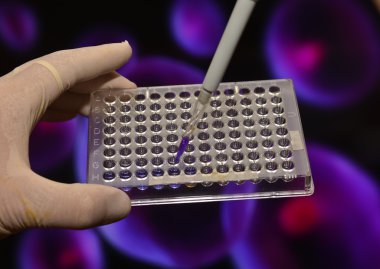 Dna testi laboratuvarda. 